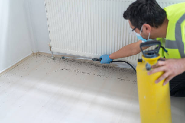 Pest Prevention Services in Owensville, IN