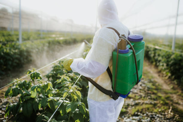 Professional Pest Control in Owensville, IN